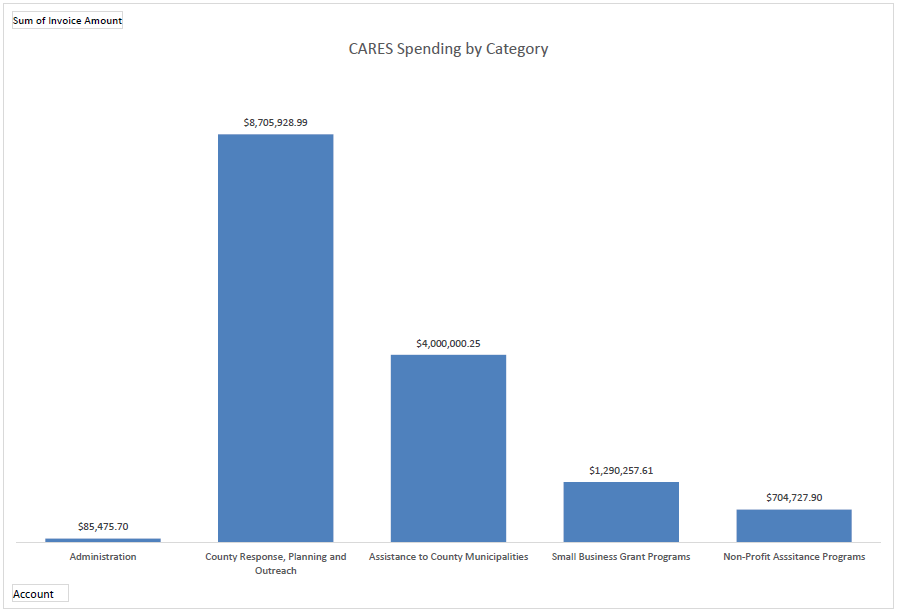 CARES Spending by Category